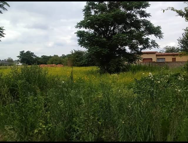 1,044M² VACANT LAND FOR SALE IN KOOKRUS